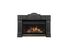 Napoleon insert fireplace Roxbury GI3600